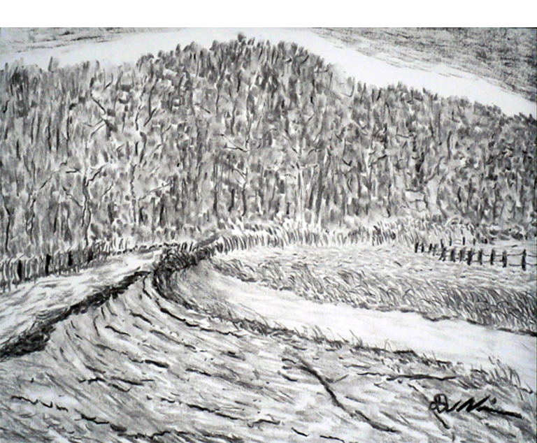 Dirk Nienemann, Künstler Holzkohlezeichnungen, Lehrte Hannover, Drucke Holzkohlezeichnungen,Abstrakte, Landschaft, Stillleben